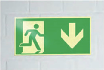 Flachschild