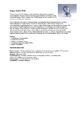 3567_8800Technische_DatenHalbmaskeDrger_Xplore_4740.pdf