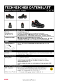 TD-ESD-Schuh-SENEX-BOA.pdf