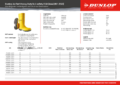 TD-ESD-Stiefel-Acifort.pdf