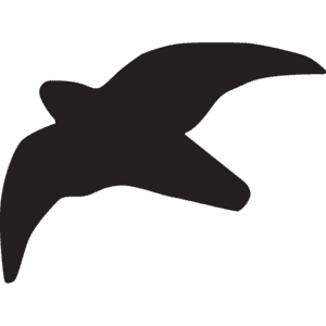 Fensteraufkleber Vogel, schwarz, Folie, selbstklebend, Spannbreite 300mm Bild 1