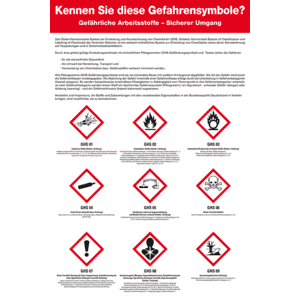 Schulungstafel Gefährliche Arbeitsstoffe, Symbole gemäß CLP, Kunststoff, 400x600mm Bild 1