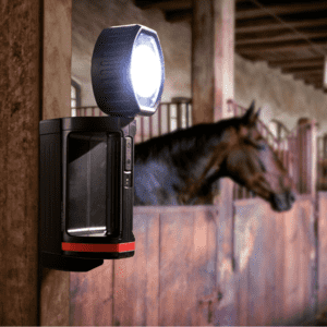 ANSMANN Handscheinwerfer TORCH, 5W Cree- LED, 250 x 136 x 100mm, inkl. Zubehör Bild 4
