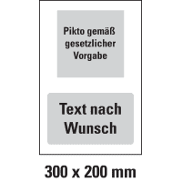 Hinweissch.,1 Pikto ASR/DIN/ISO oben/Textfeld farbig unten, Kunststoff,300x200mm