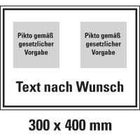 Hinweisschild, 2 Piktos ASR/DIN/ISO oben/Text nW. unten, Aluminium, 300x400mm
