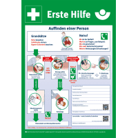 Erste Hilfe Aushang, DGUV Information 204-001, Polystyrol, 395x575mm
