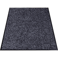 Schmutzfangmatte Eazycare Color, für den Innenbereich, grau, 600x900mm