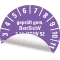 Prüfplakette BetrSichV §14, DGUV52, Nächster Prüftermin, 2028, violett, Folie, Spezialkleber, Ø30mm, 18 / Bogen Bild 3