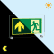 PERMALIGHT® power Rettungsweg geradeaus, ASR/ISO, Klemmbefestigung, Acryl, 347x198mm Bild 1