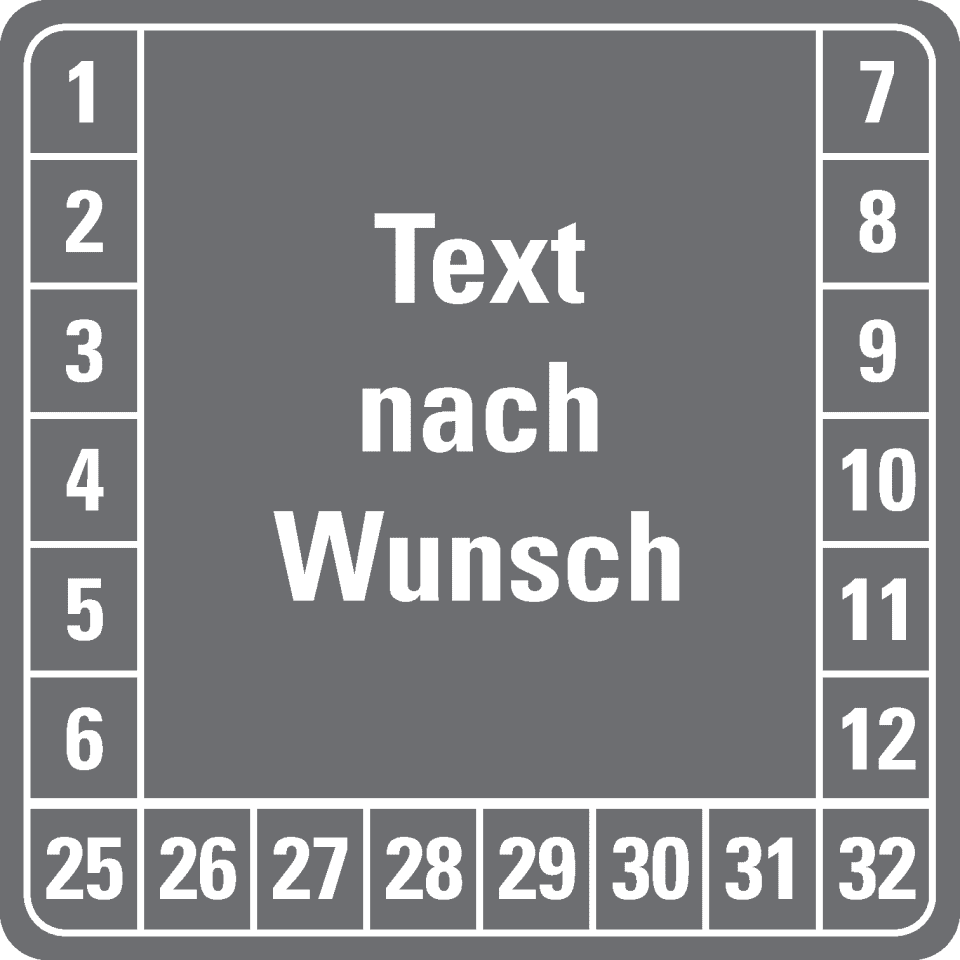 Zoom Bild