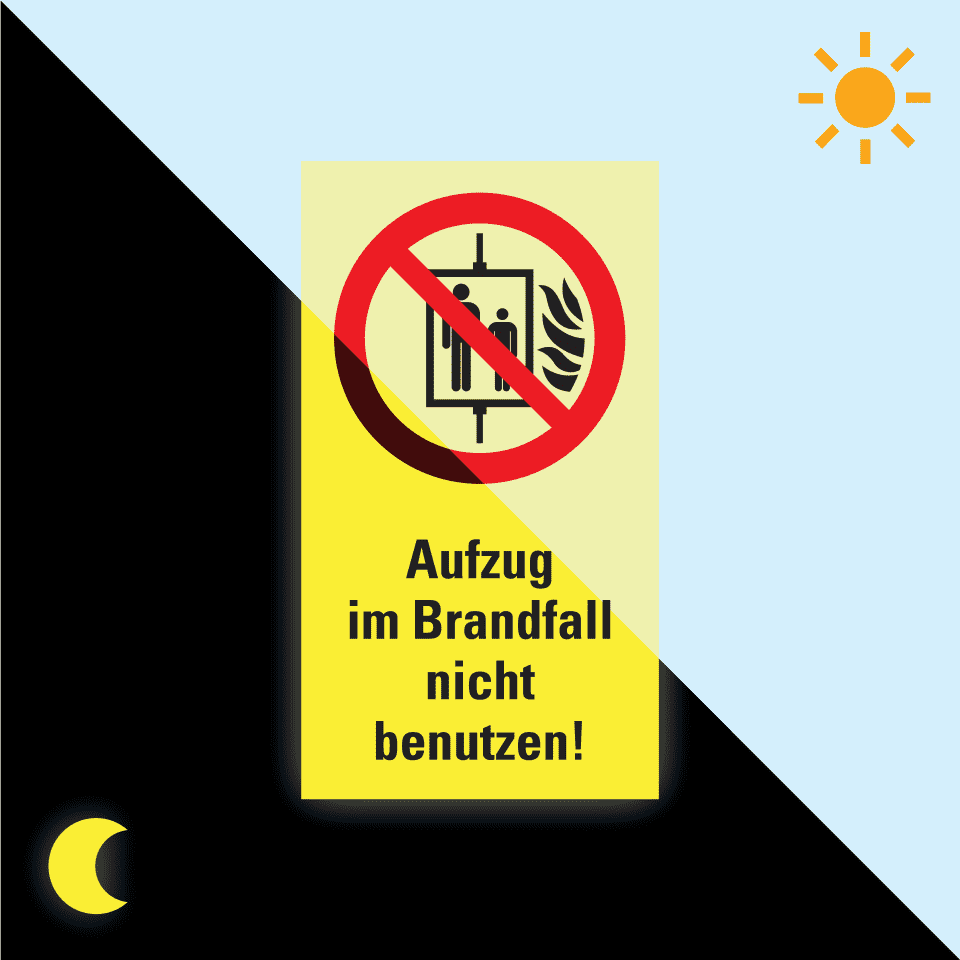 Zoom Bild