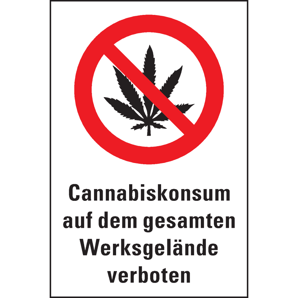 Zoom Bild