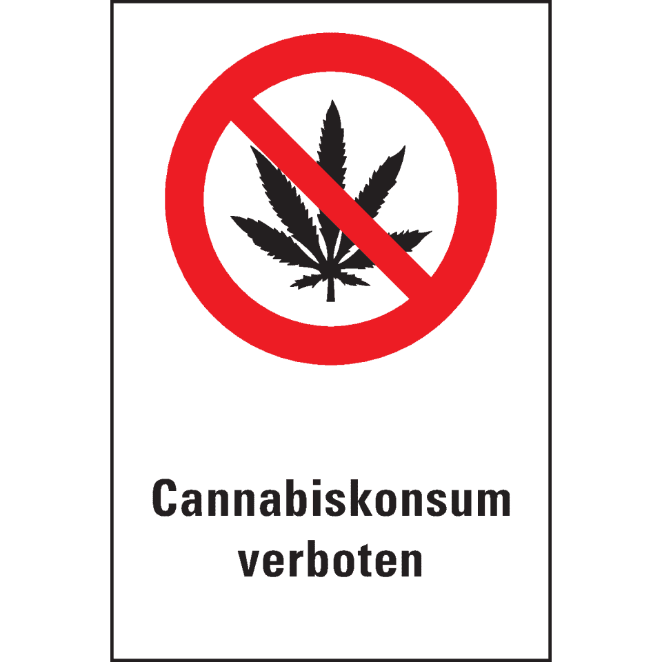 Zoom Bild