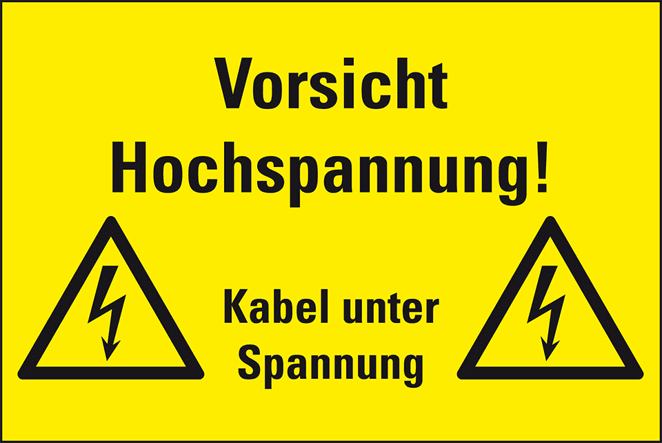 Zoom Bild