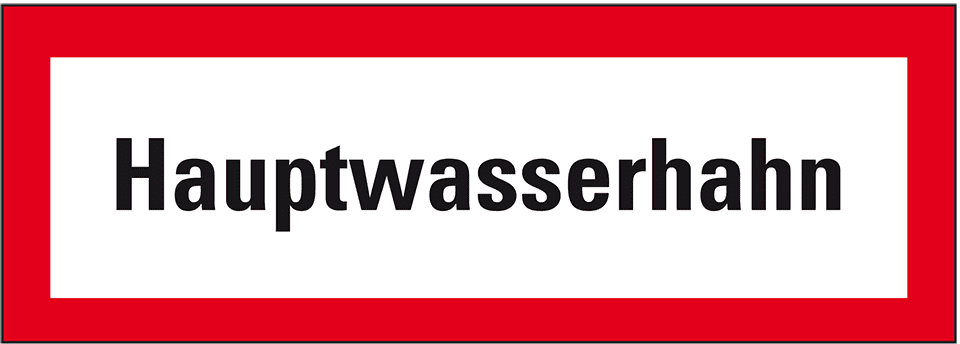 Zoom Bild