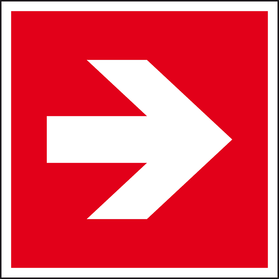Zoom Bild