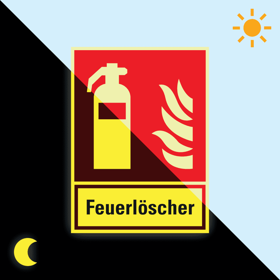 Zoom Bild