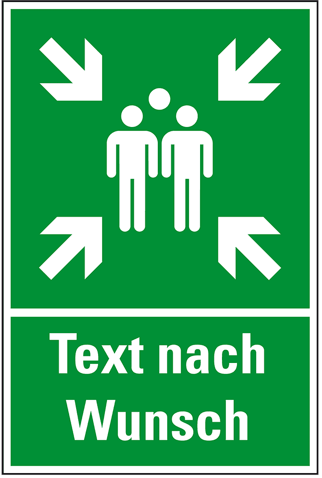 Zoom Bild