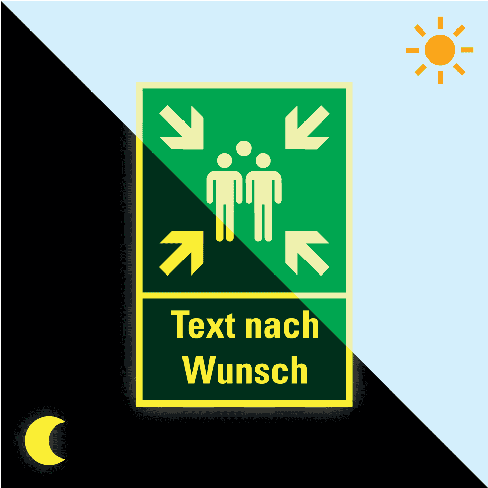 Zoom Bild