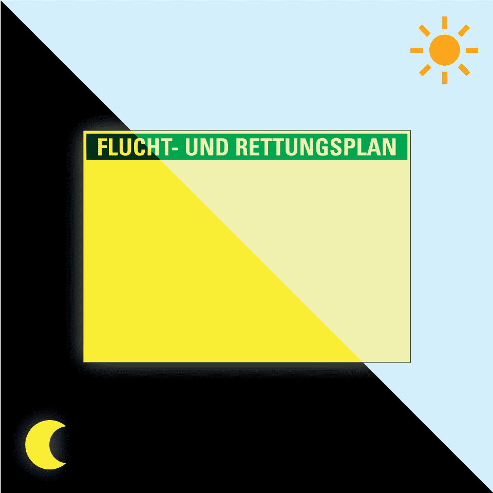 Zoom Bild