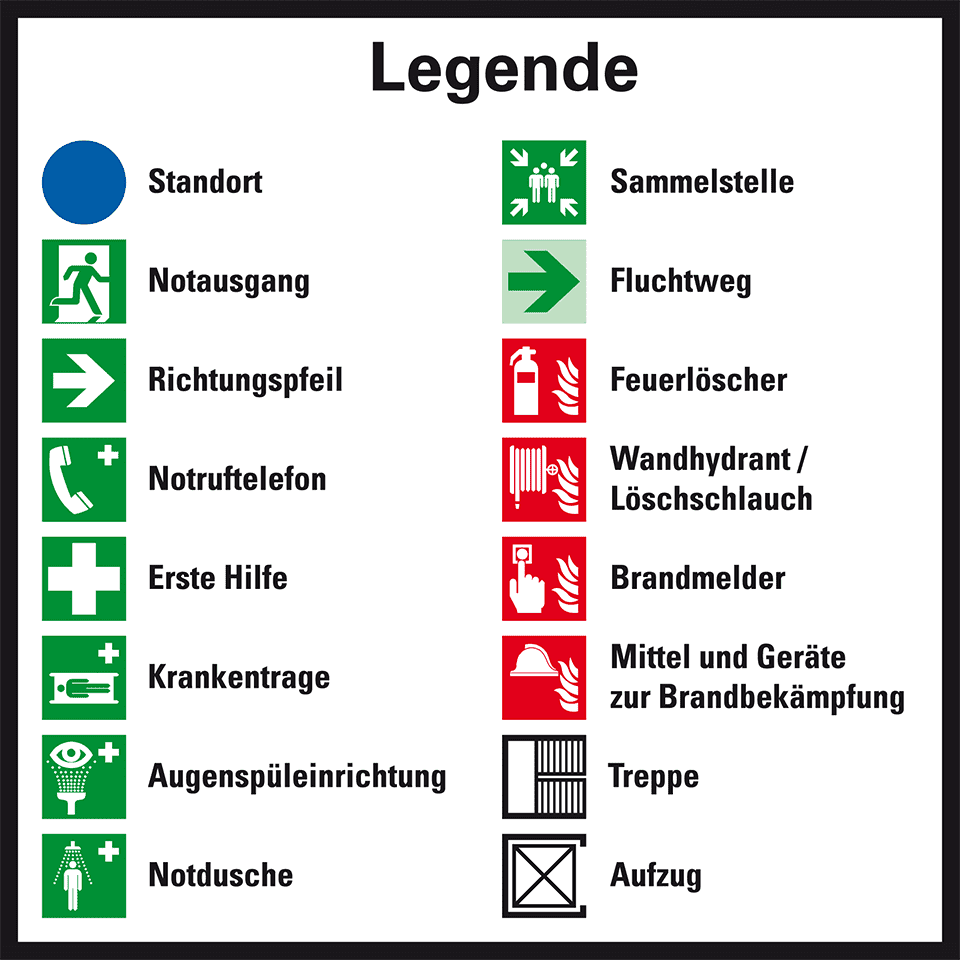 Zoom Bild