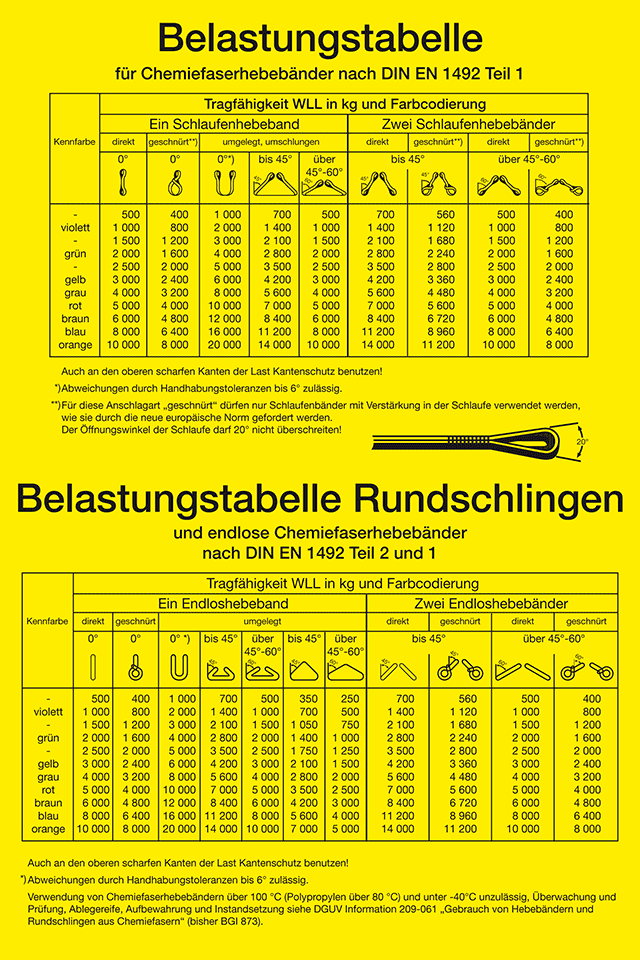 Zoom Bild