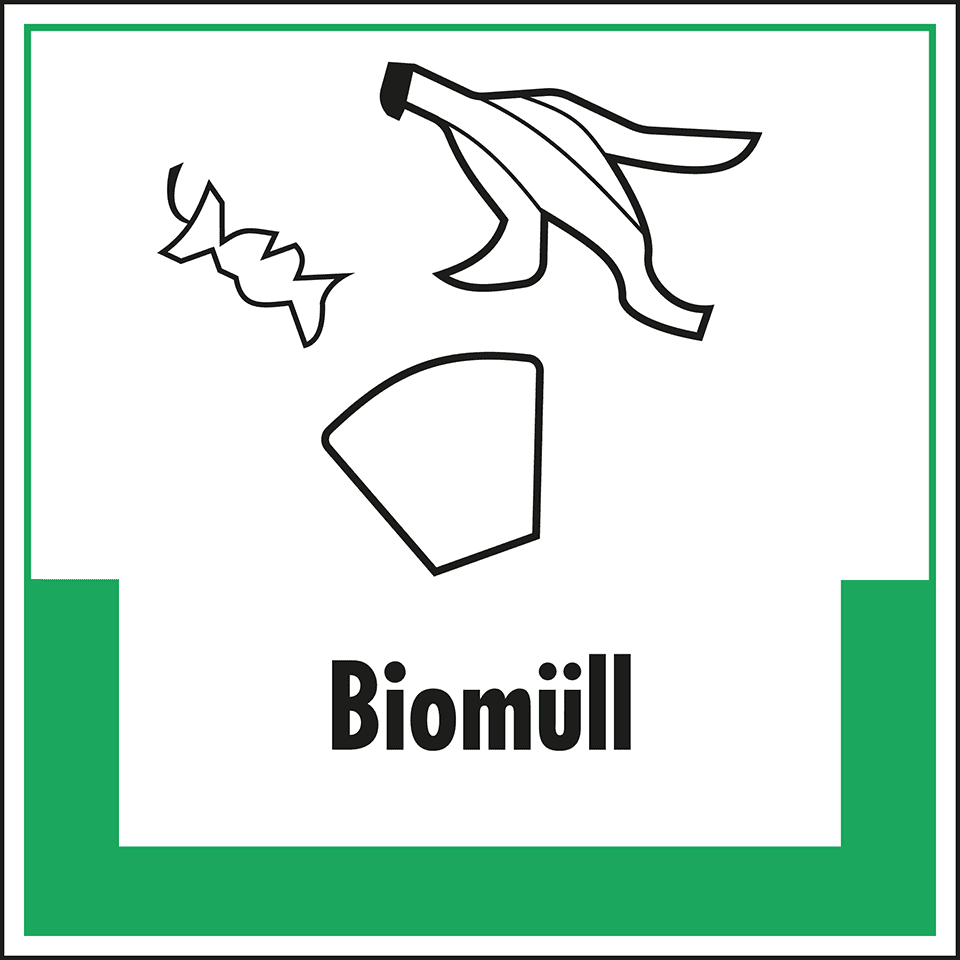 Zoom Bild
