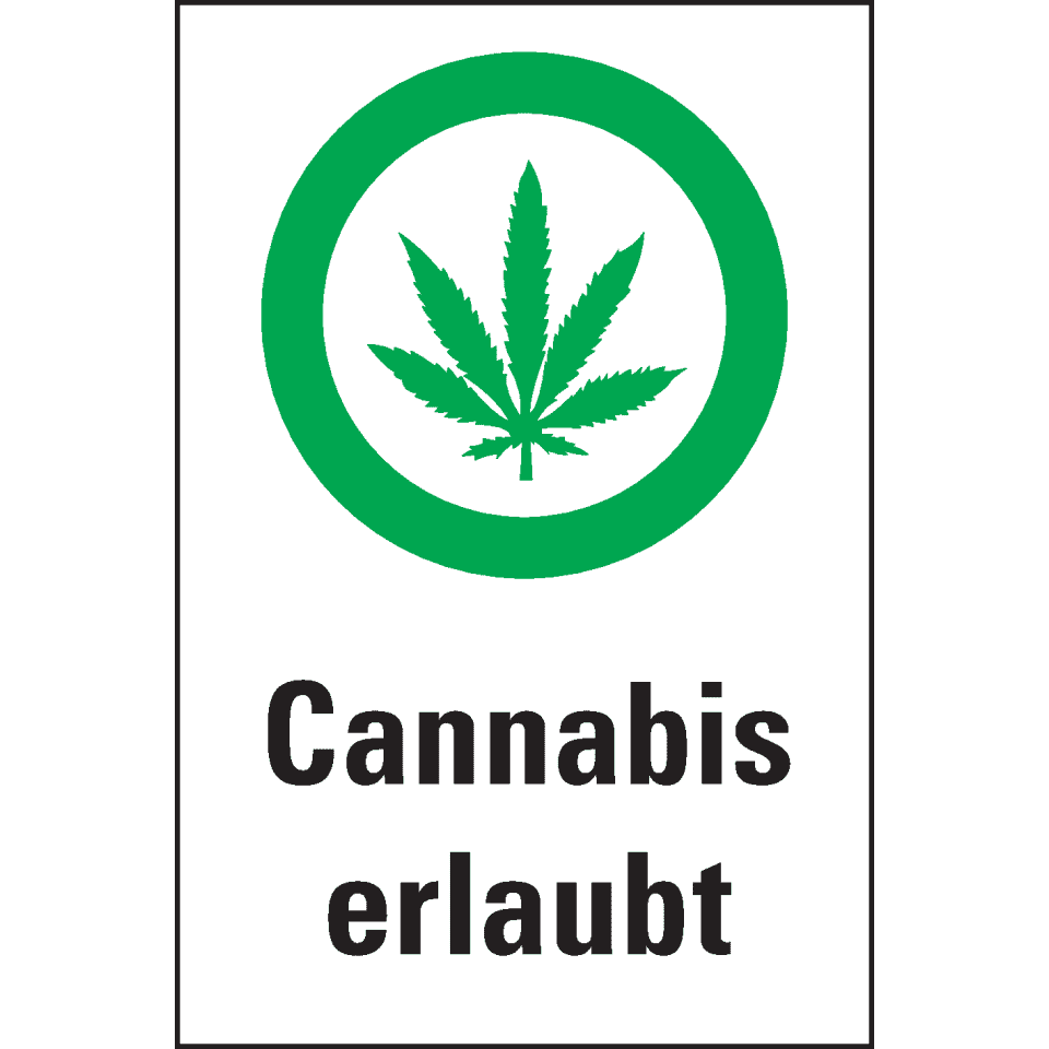 Zoom Bild