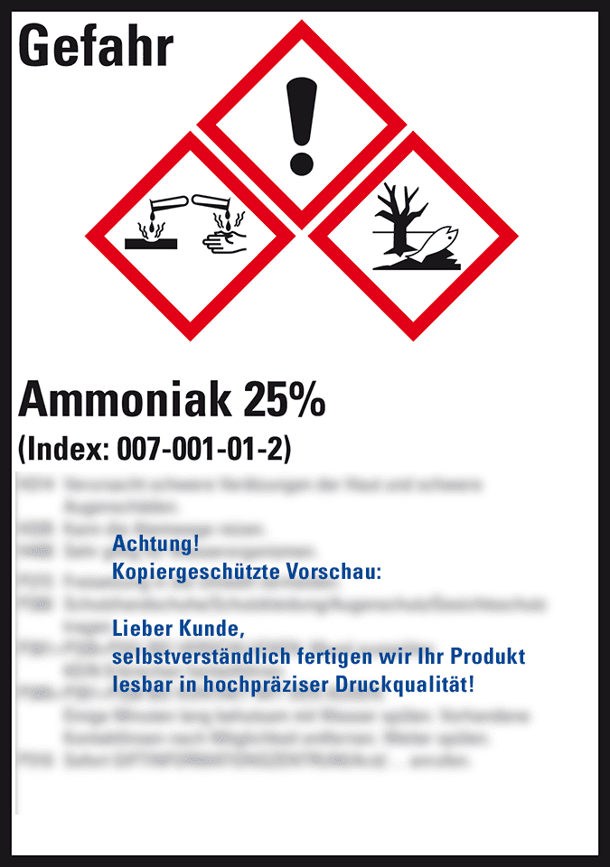 Zoom Bild