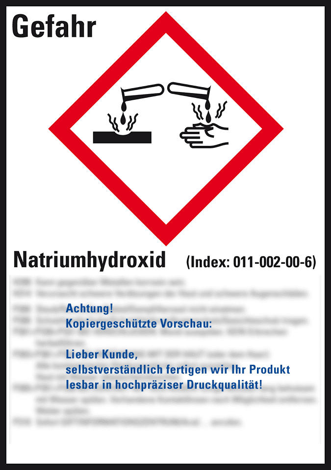 Zoom Bild