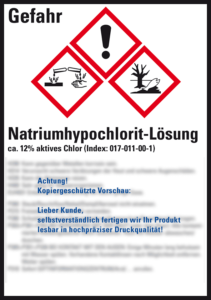 Zoom Bild