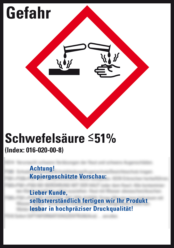 Zoom Bild