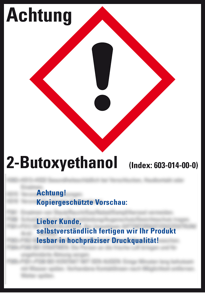 Zoom Bild