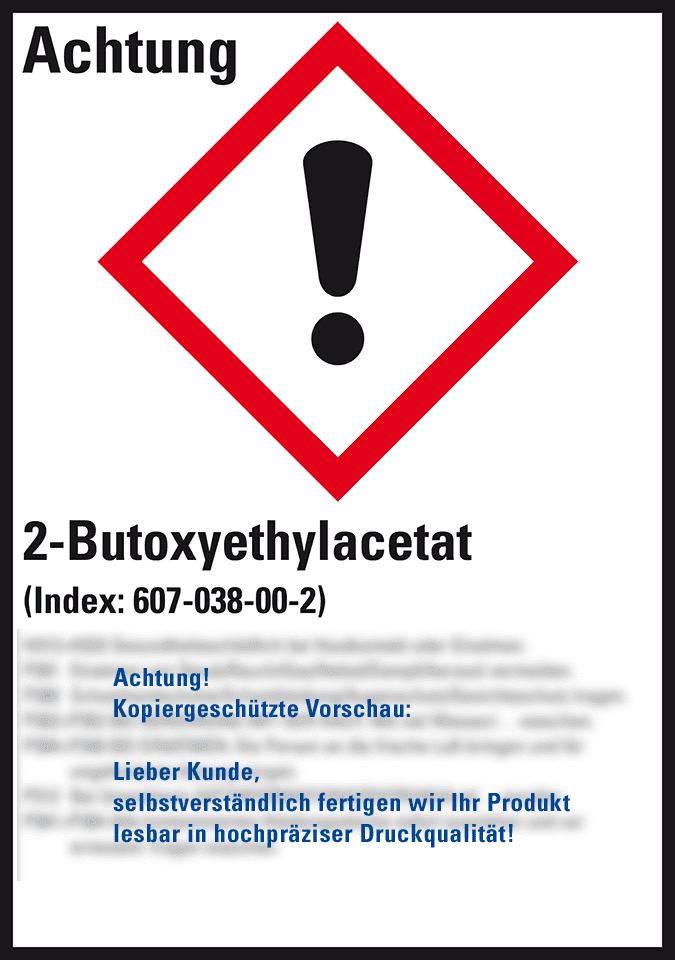 Zoom Bild