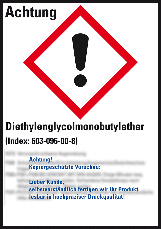 Zoom Bild