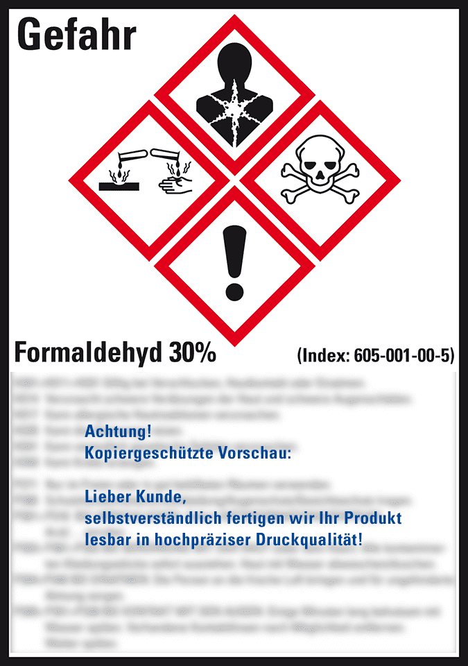 Zoom Bild