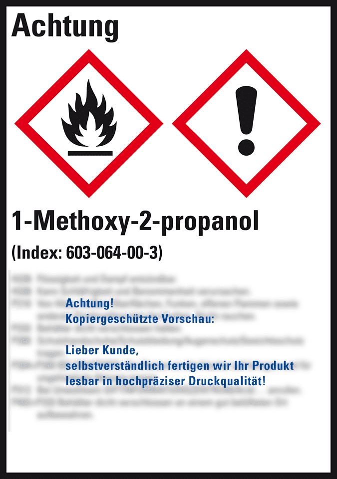 Zoom Bild
