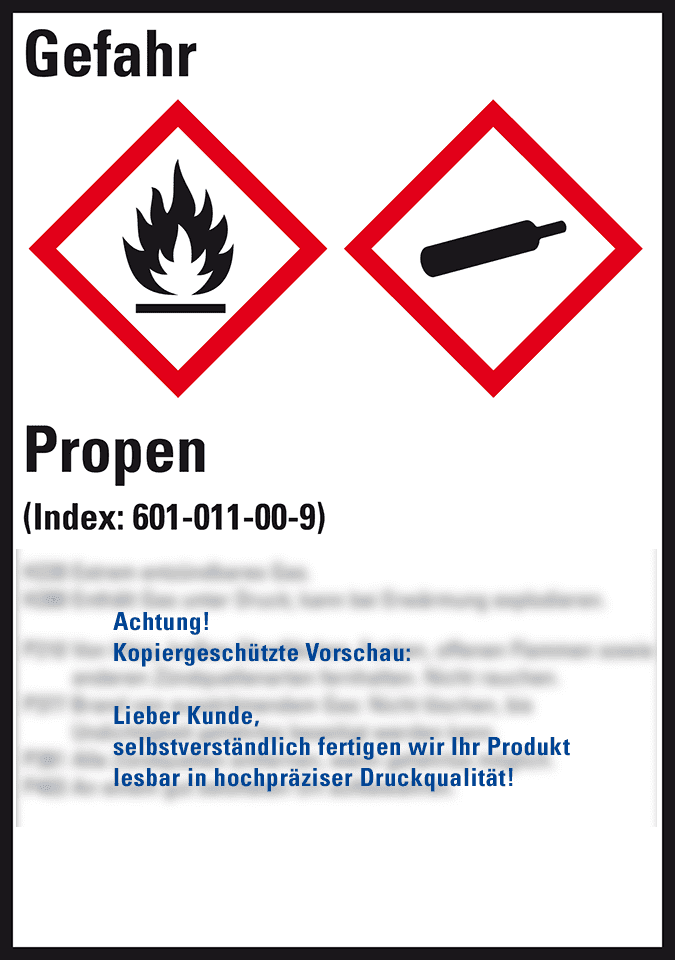 Zoom Bild