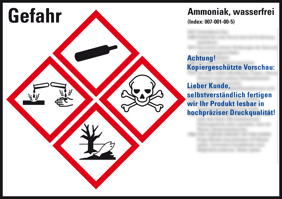 Zoom Bild