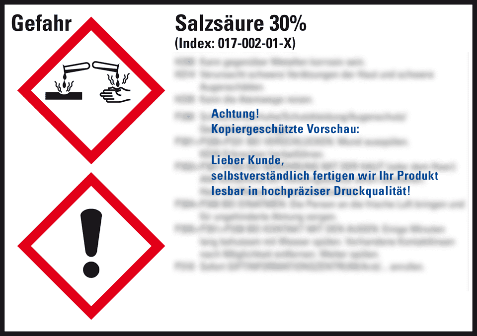 Zoom Bild