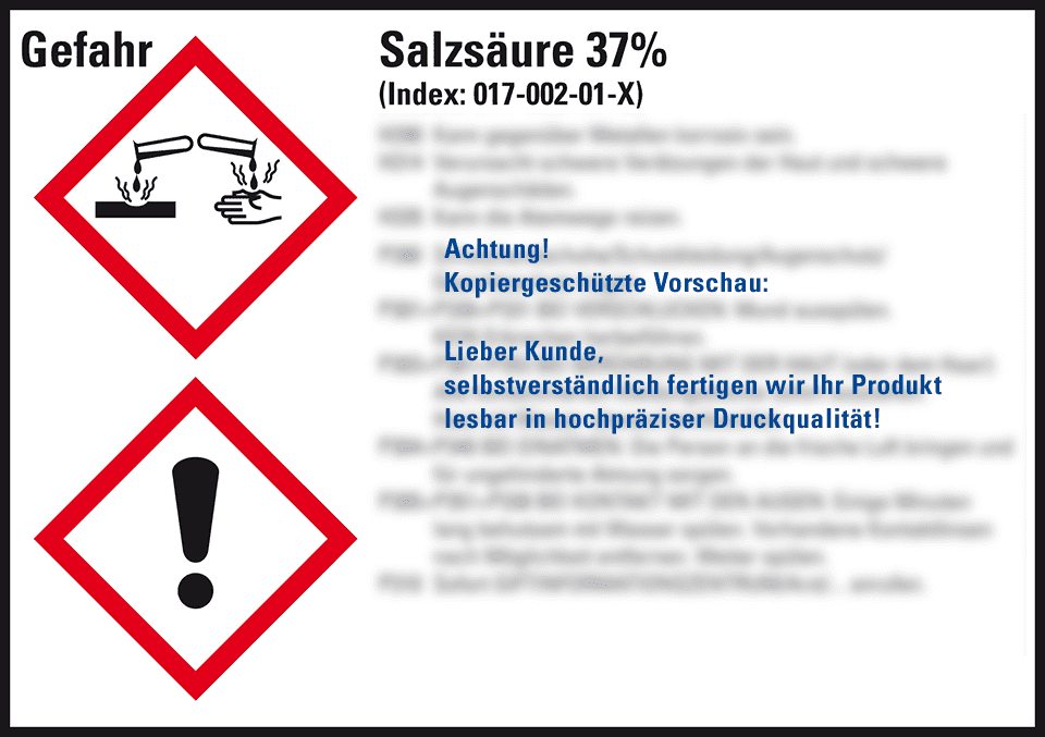Zoom Bild