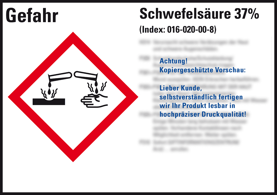 Zoom Bild