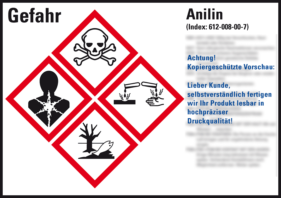 Zoom Bild