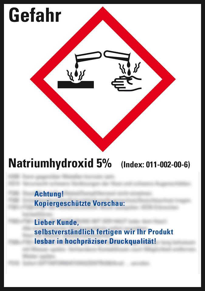 Zoom Bild
