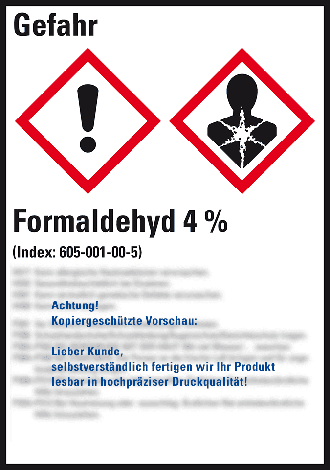Zoom Bild