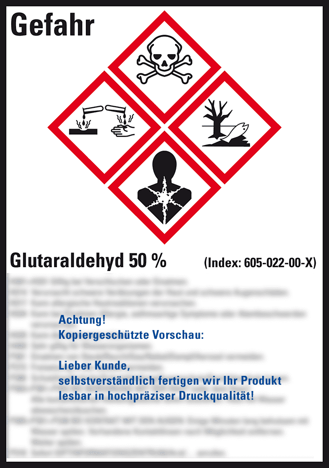 Zoom Bild