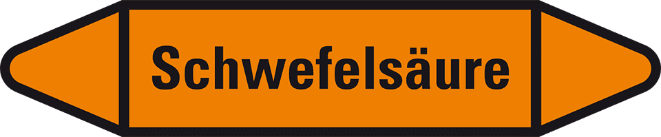 Zoom Bild