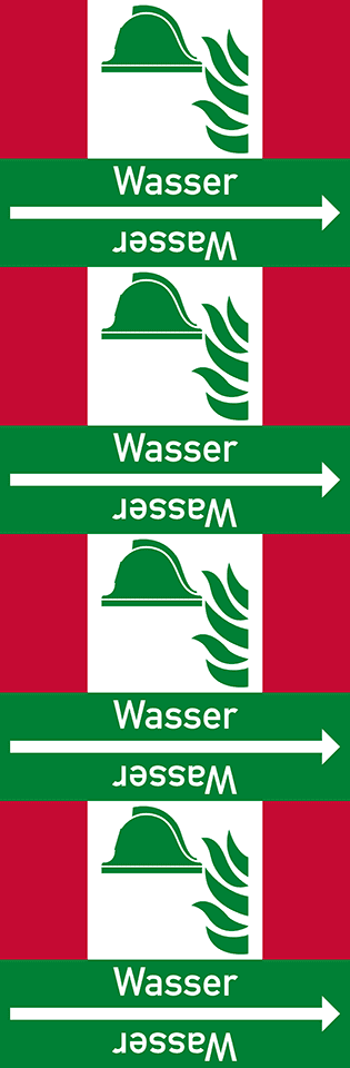 Zoom Bild
