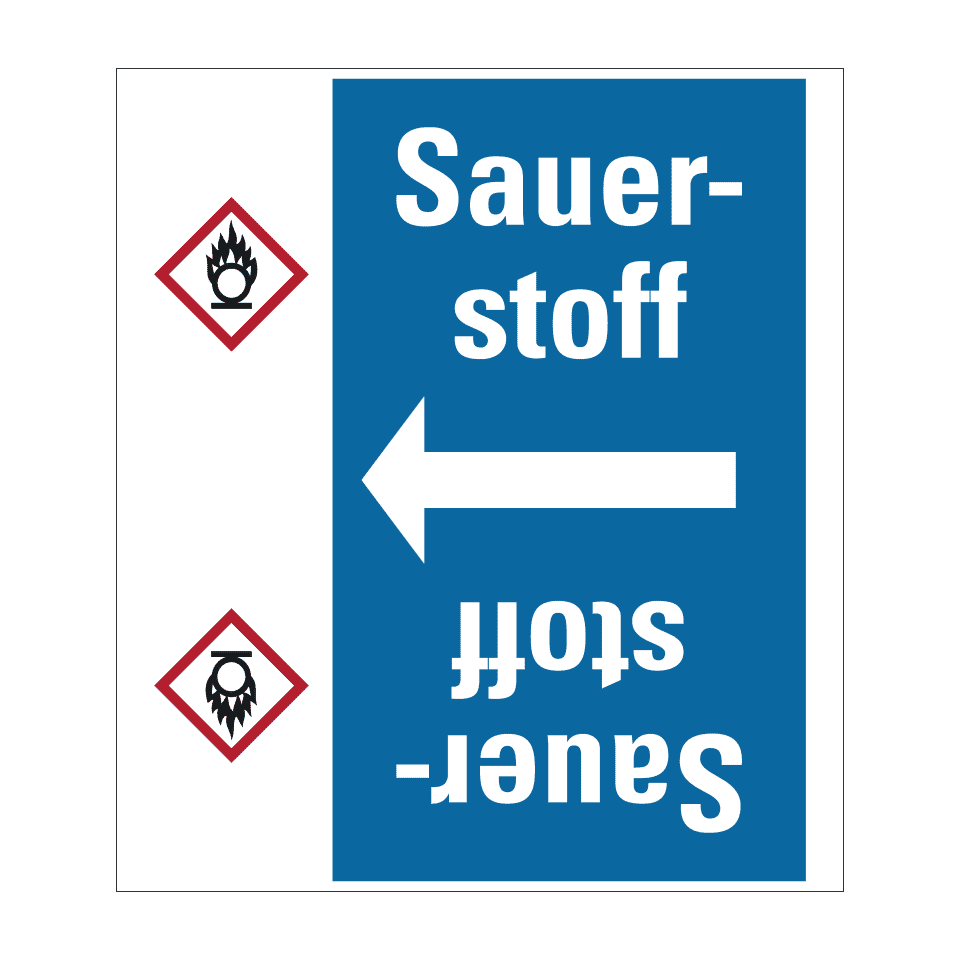 Zoom Bild