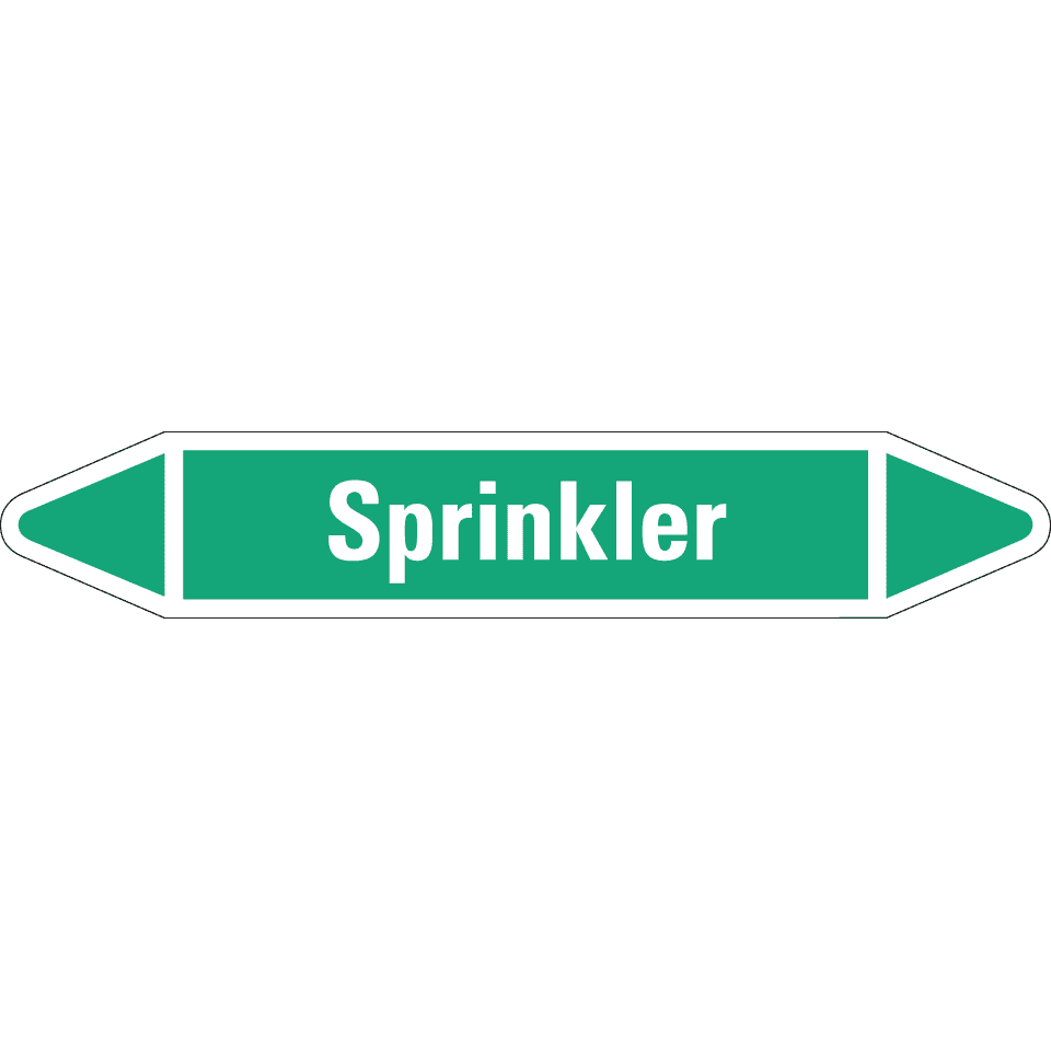 Zoom Bild